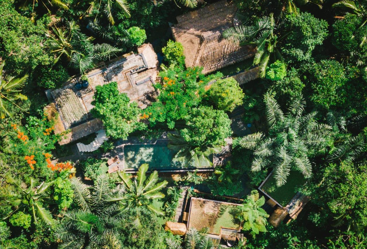 Villa Rimba Ubud Tegallalang  Exterior photo