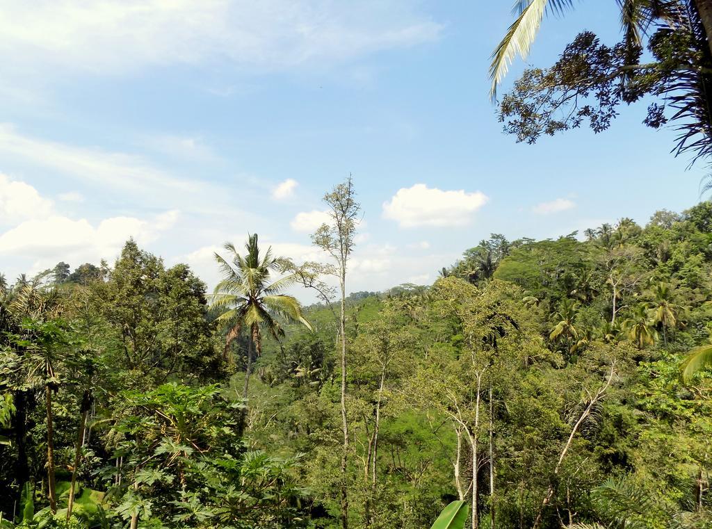 Villa Rimba Ubud Tegallalang  Exterior photo